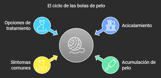 El ciclo de las bolas de pelo