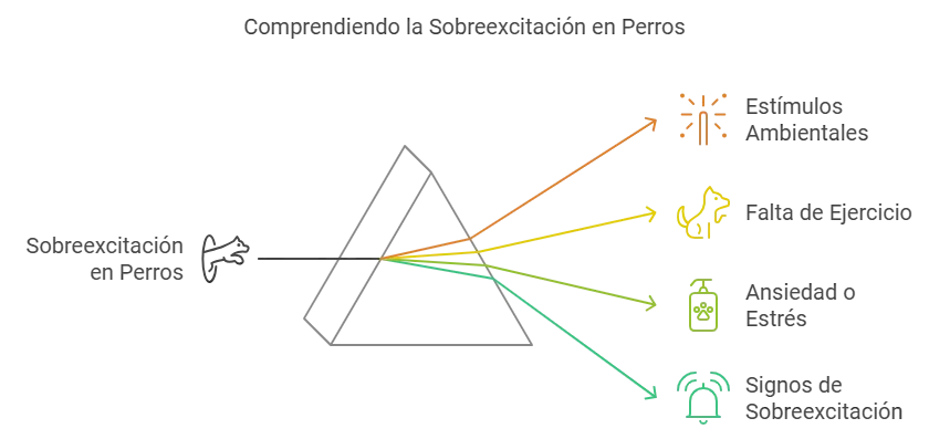  la Sobreexcitación en Perros