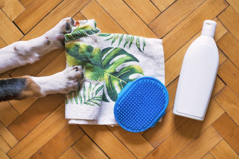 Productos para Pulgas y Garrapatas en Mascotas