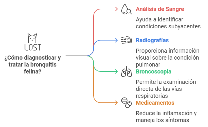 Diagnóstico y tratamiento