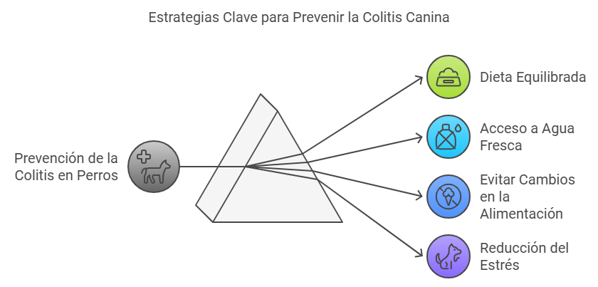 Prevención de la colitis en perros