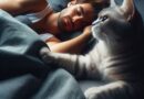 Mi gato me muerde cuando duermo – Causas y qué hacer