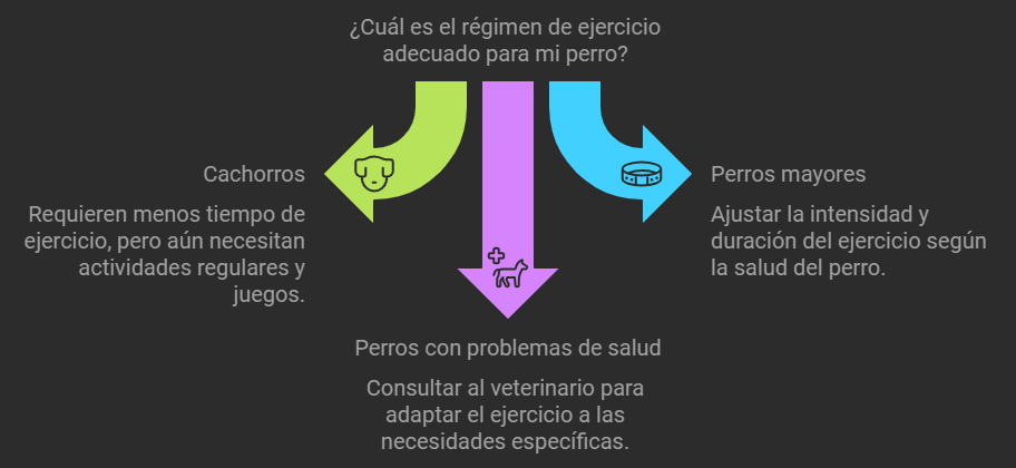 Consejos Adicionales para Ajustar el Ejercicio