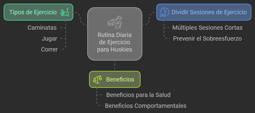 Ejercicio para Husky Siberiano