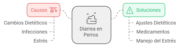 Causas y soluciones de la diarrea en perros