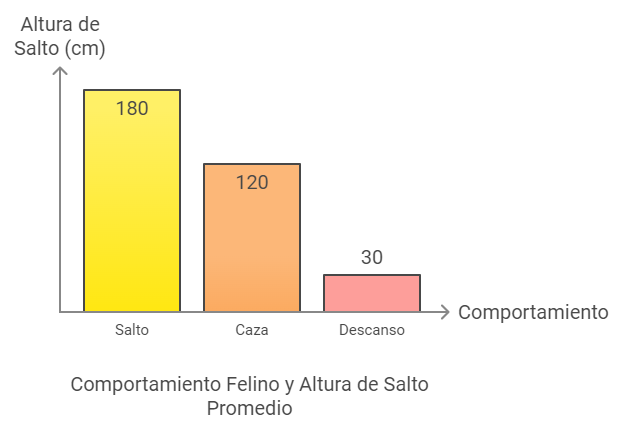 comportamiento felino y altura de salto promedio