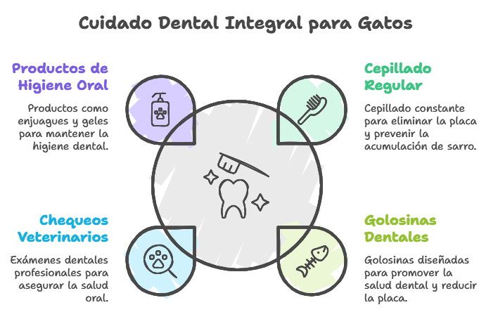 consejos prácticos sobre cómo cuidar los dientes de los gatos  