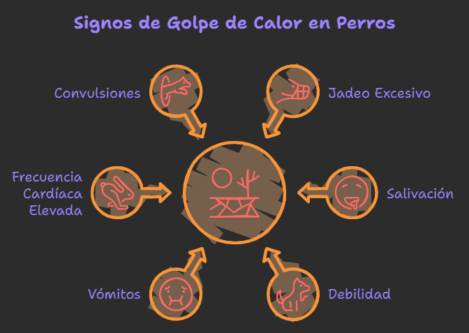 signos de golpe de calor en perros