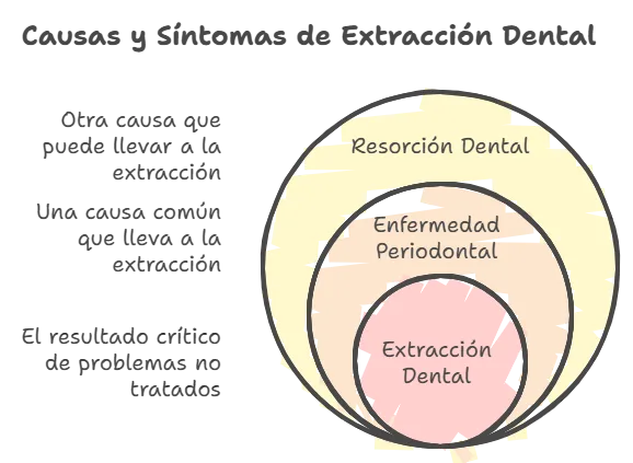 necesaria una extracción dental en gatos