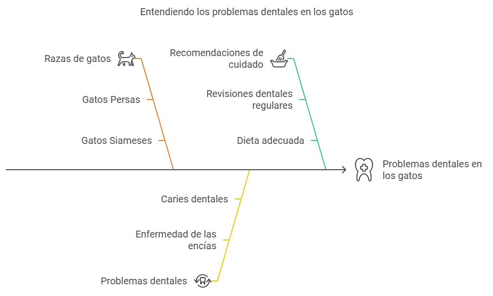 gatos con más problemas dentales