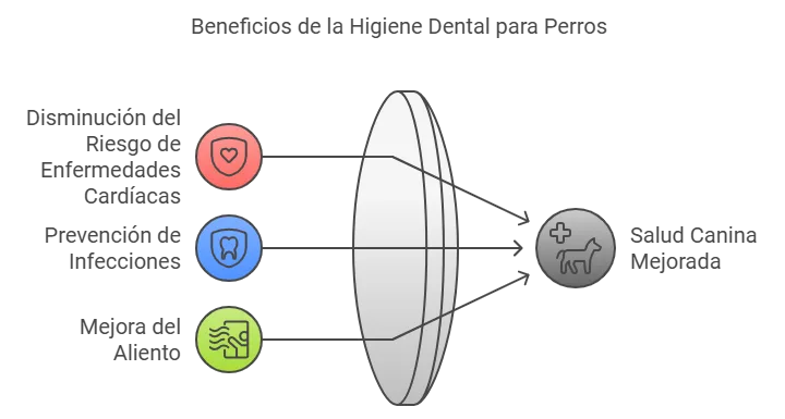 Mi perro no deja que le cepille los dientes: ¿Qué hacer?