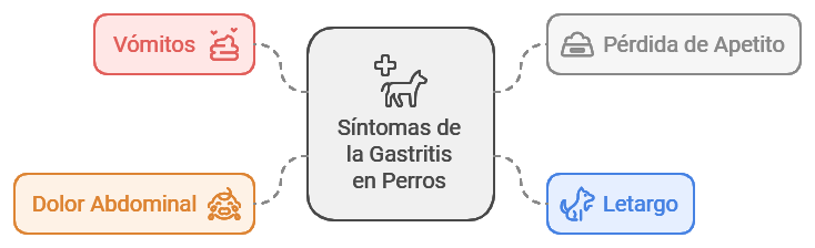 Principales síntomas de la gastritis en perros