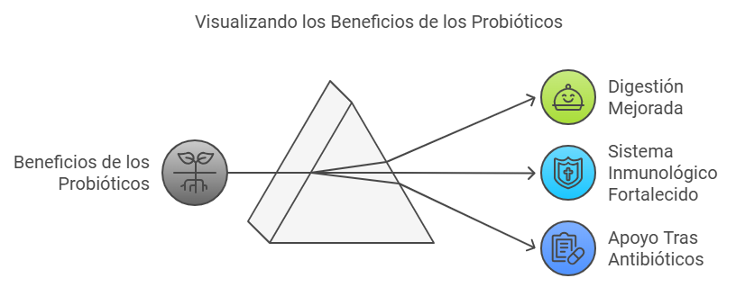 Principales beneficios de los probióticos para la salud digestiva de los perros