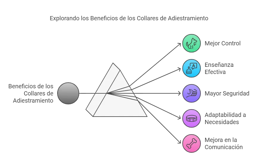 Beneficios de los Collares de adiestramiento para perros grandes