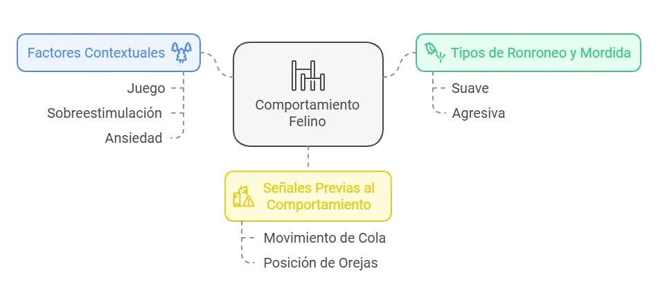 factores que influyen en gatos ronronean y muerden