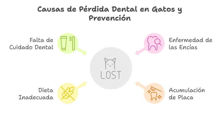 Gatos que han perdido dientes