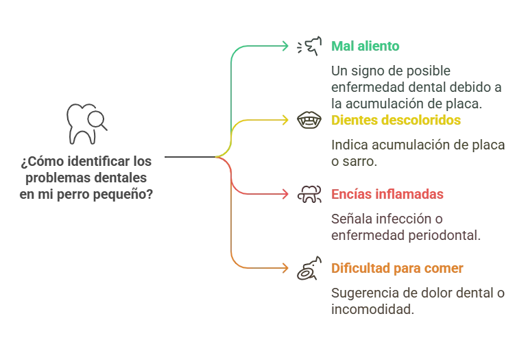 Problemas dentales en razas de perros pequeños