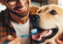Mitos y Verdades Higiene Bucal Canina