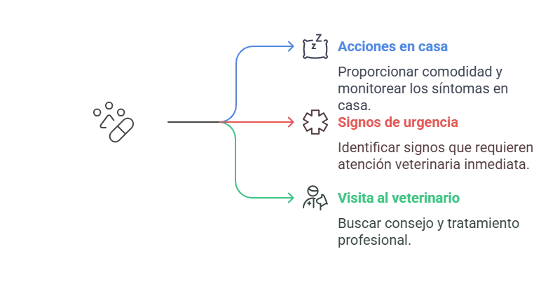 Temblores y Dolor Abdominal en Perros: Causas y Soluciones