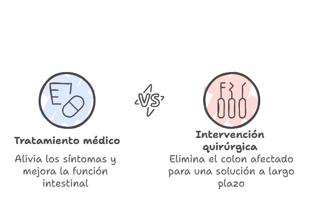 Megacolon en gatos - Causas, síntomas y tratamiento