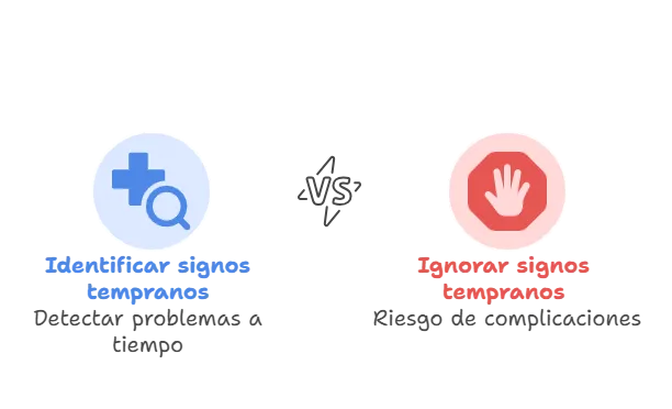 Megacolon en gatos - Causas, síntomas y tratamiento
