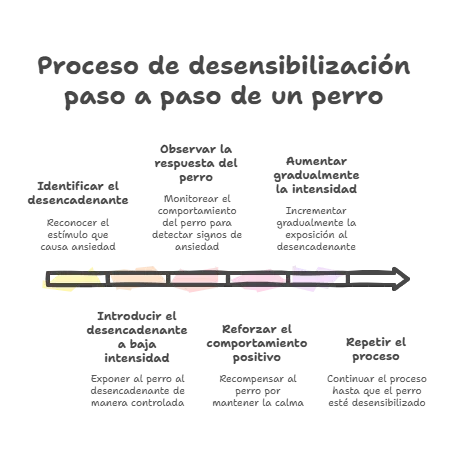 Socializar Perro Adulto: Consejos y Técnicas