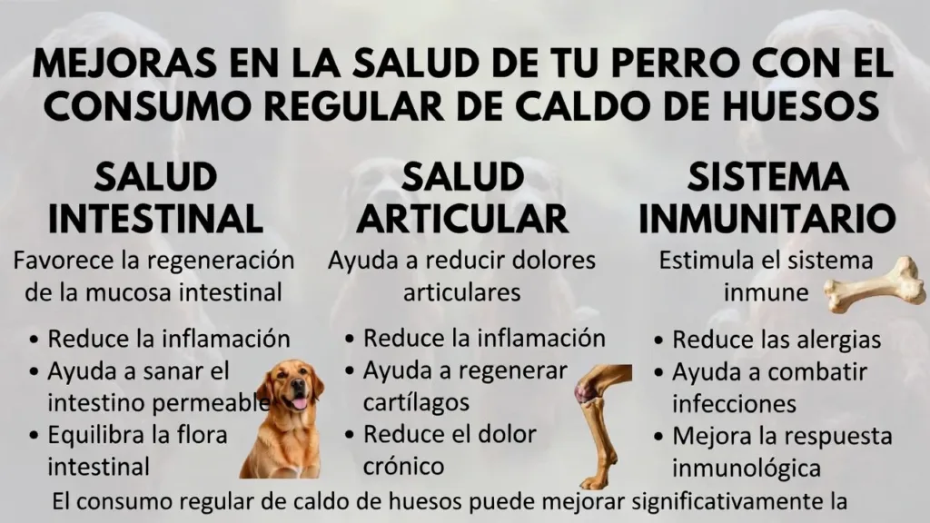 nfograf铆a sobre Beneficios caldo de huesos perros