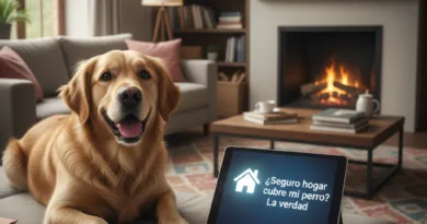 Aquí tienes 10 palabras clave SEO para ese contenido